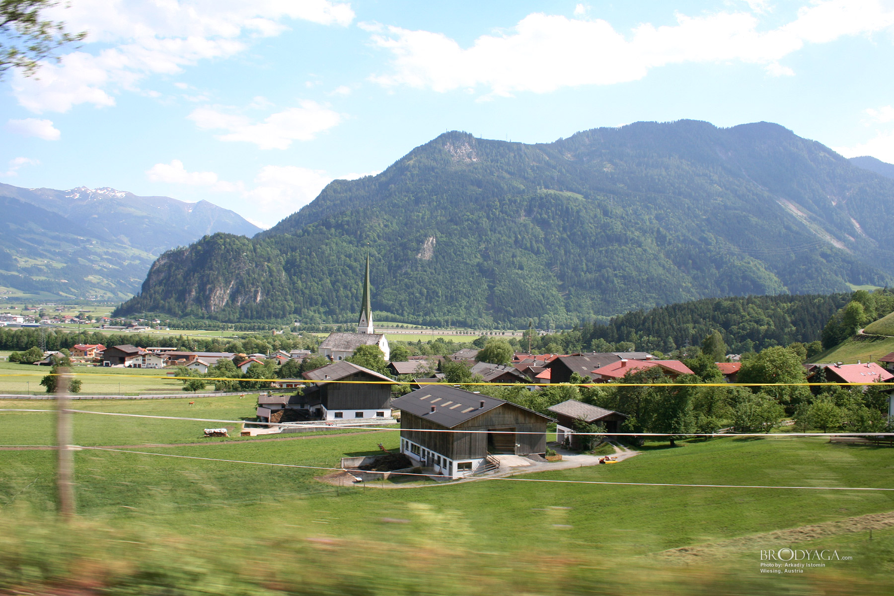 Wiesing